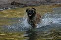 flaten_2008 jul 02_0311